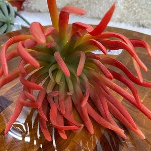 Lot of 4, Faux succulent florals for DIY